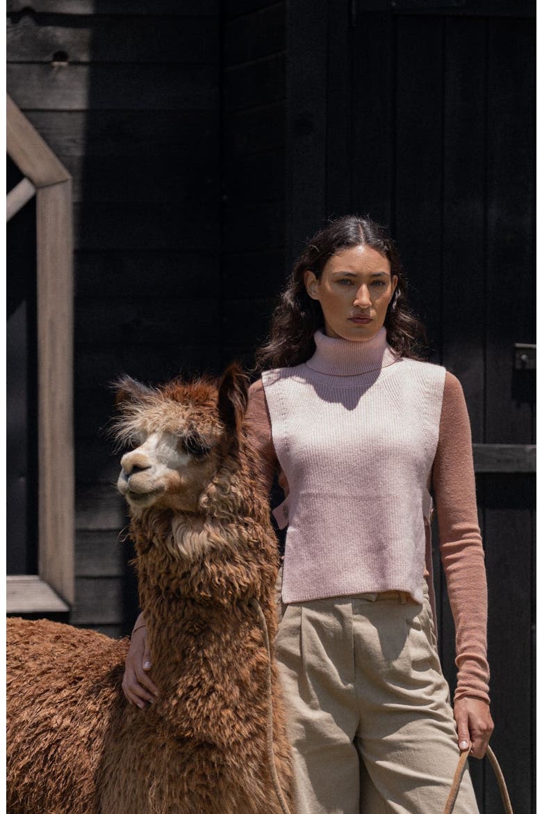 Wool Cashmere Sweater Vest, Alternate, color, Rose