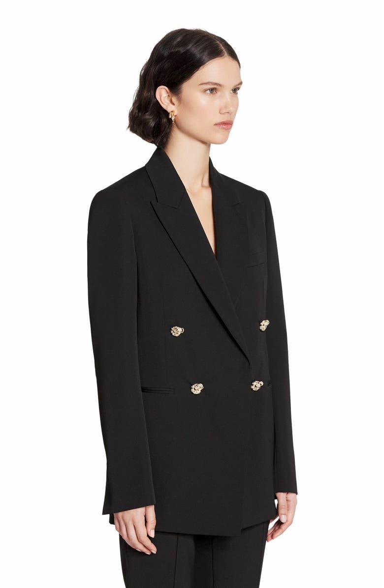 Lanvin Double-Breasted Jacket, Alternate, color, Black