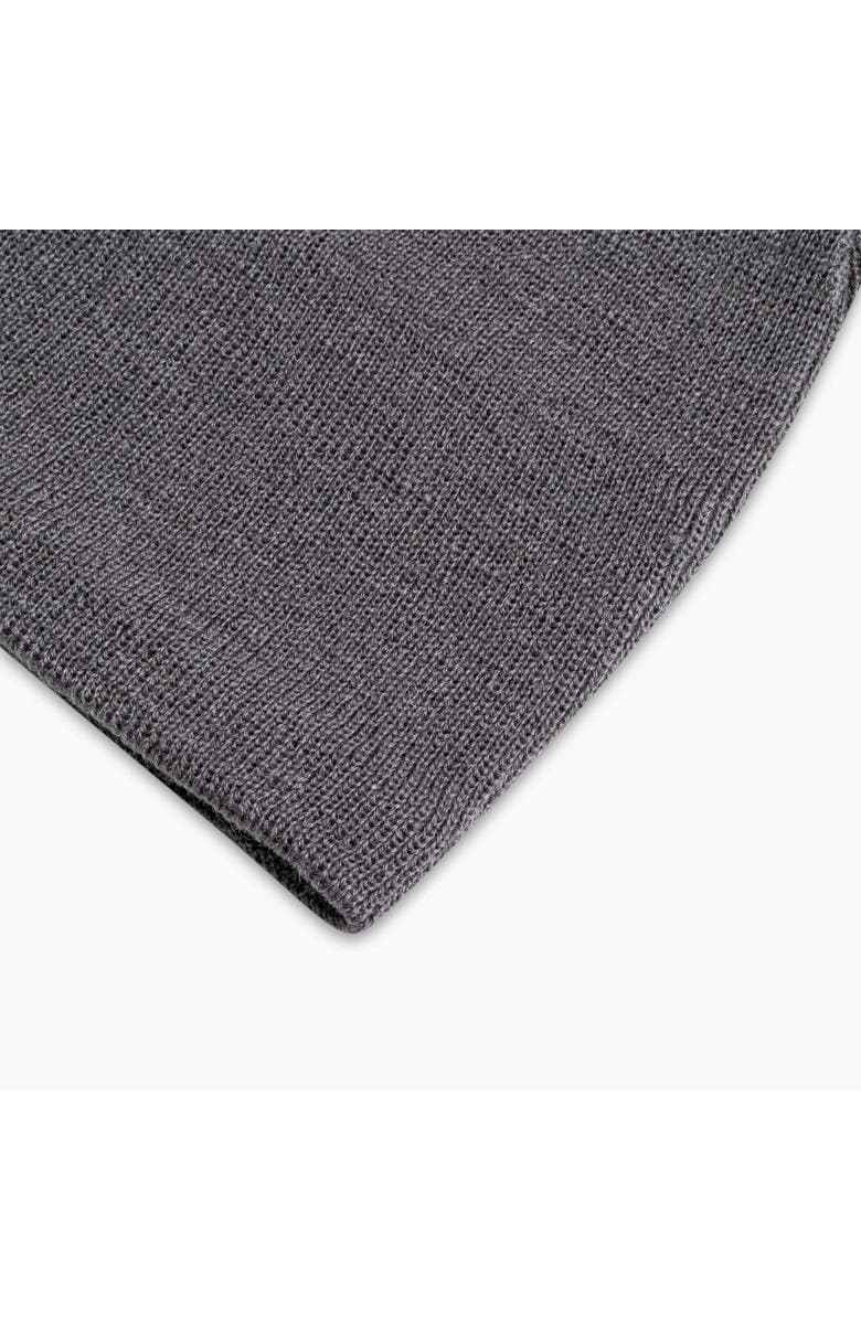 Turtle Fur Solid Merino Wool Beanie, Alternate, color, Graphite