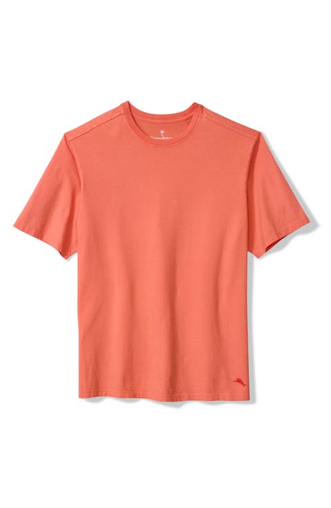 Kauai Keys Cotton T-Shirt (Big & Tall)