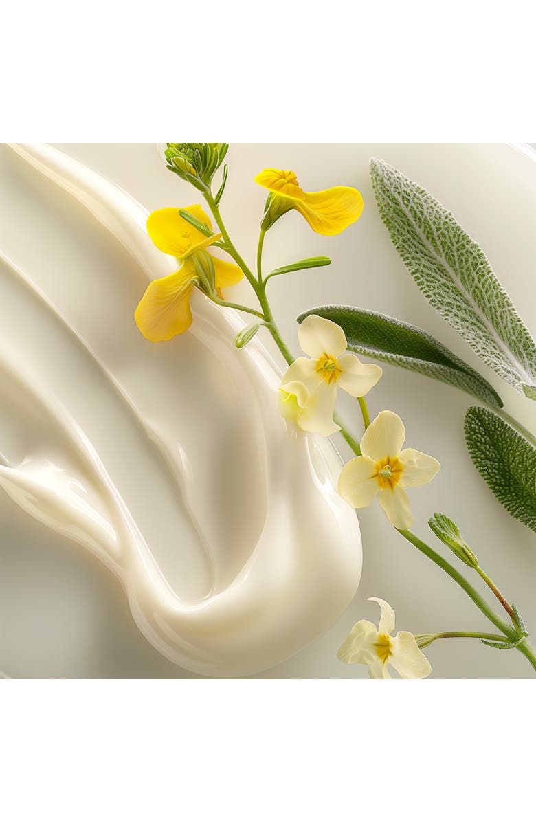 Leonor Greyl PARIS 'Shampooing Reviviscence' Repairing Shampoo, Alternate, color, 