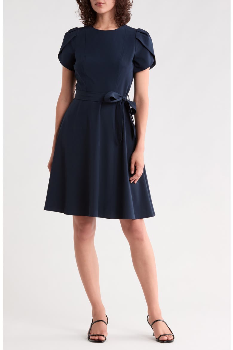Belted Pleated A Line Dress, Main, color, INDIGO