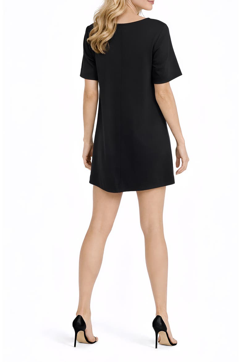 Lucy Trapeze Dress, Alternate, color, BLACK