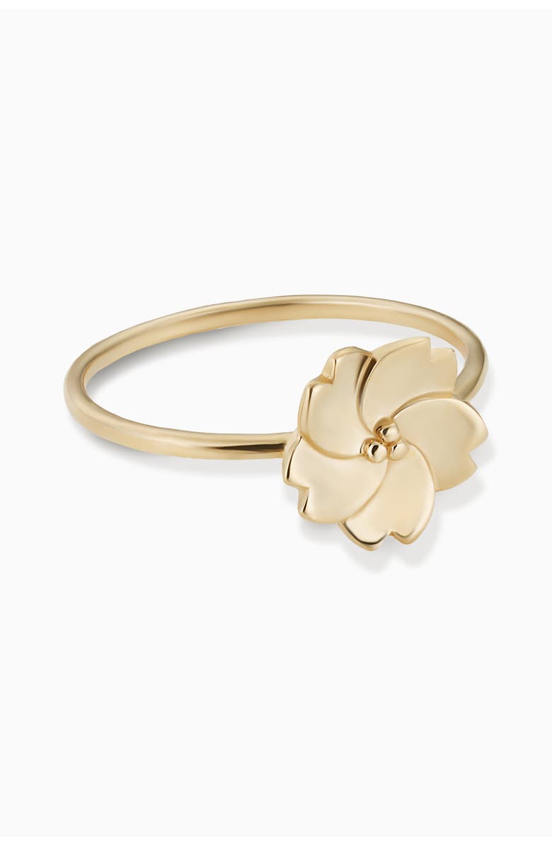 Oradina 14K Gold Fresh Bouquet Ring, Alternate, color, Yellow Gold