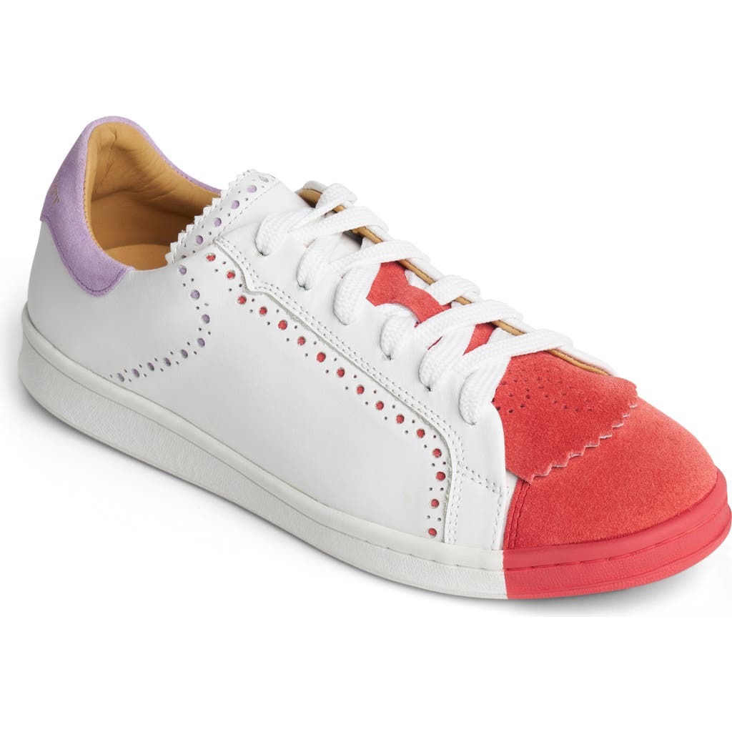 THE OFFICE OF ANGELA SCOTT THE OFFICE OF ANGELA SCOTT THE ELLIOT SNEAKER