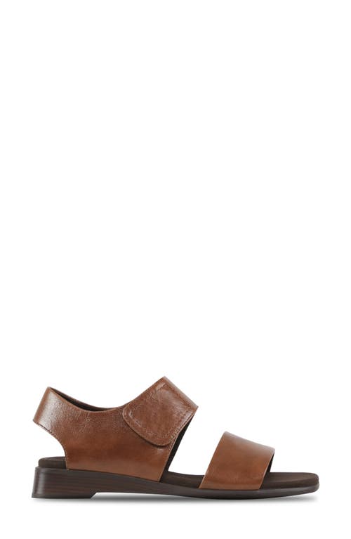 Munro Nissa Ankle Strap Sandal In Dark Brown