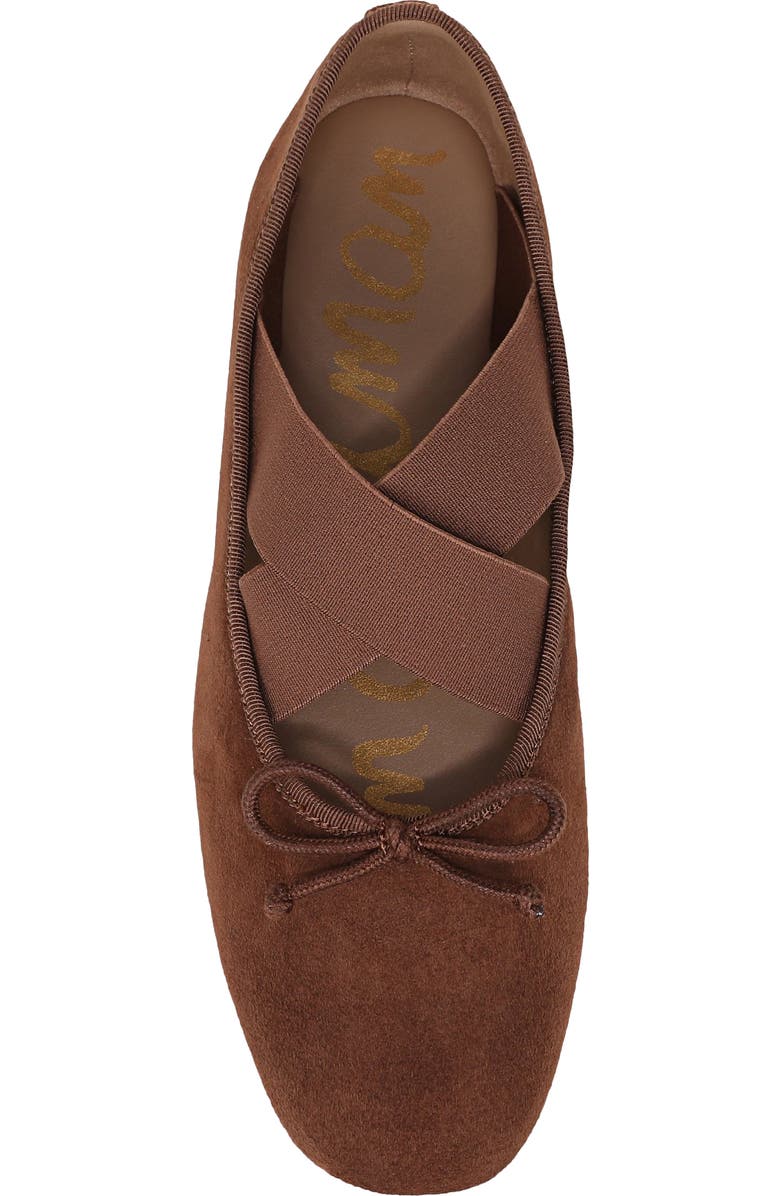Sam Edelman Arya Ballet Flat, Alternate, color, Dark Terra Toffee