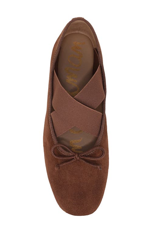 Sam Edelman Arya Ballet Flats In Brown