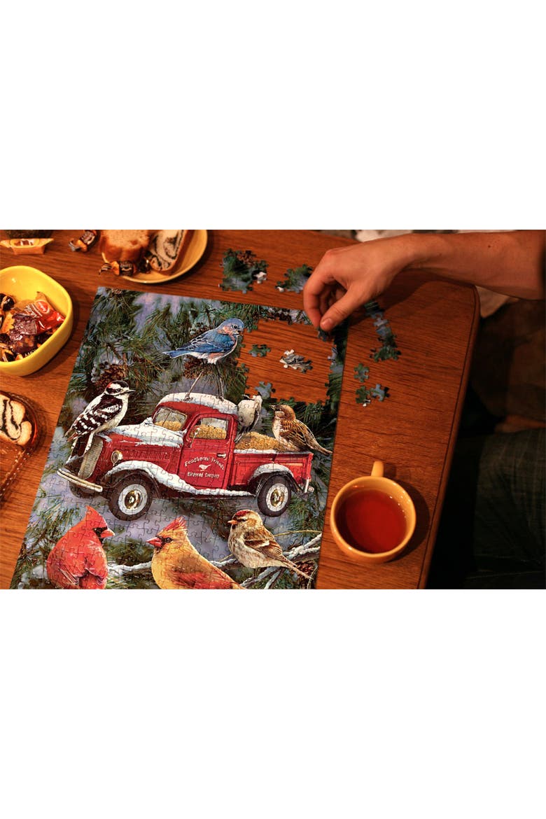Pickup Feeder 500 piece Jigsaw Puzzle for Adults, Alternate, color, Multicolor