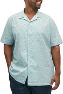 Brooks Brothers Big & Tall Non-Iron Leaf Print Sport Shirt