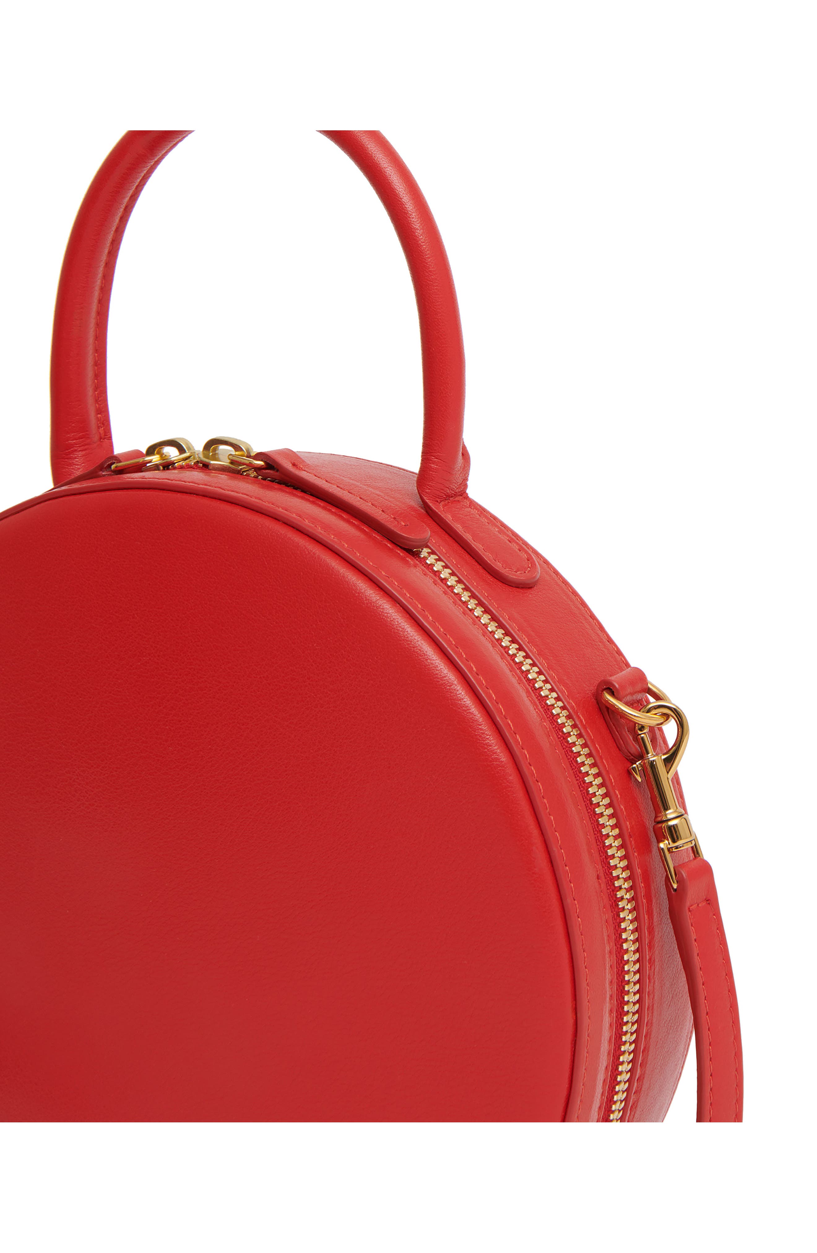 Mansur Gavriel Circle Leather Crossbody Bag, Alternate, color, 