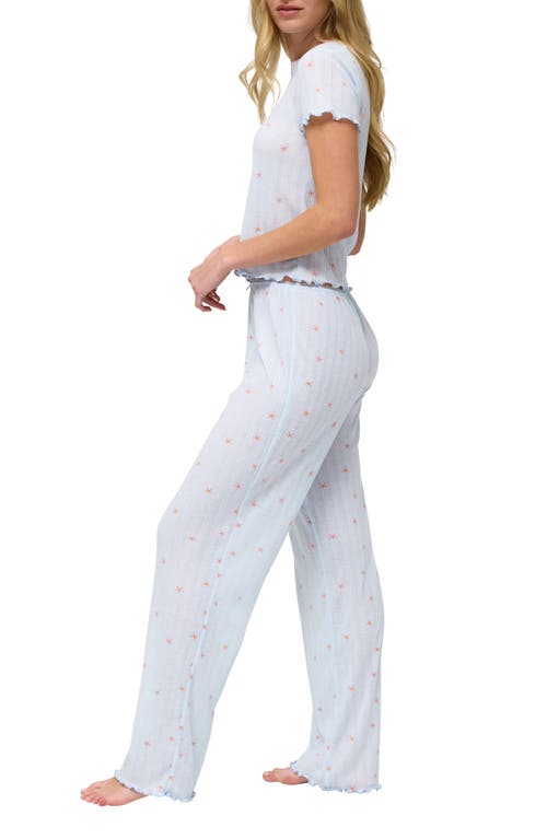 Honeydew Somewhere Sunny Pointelle Pajamas In Surf Starfish