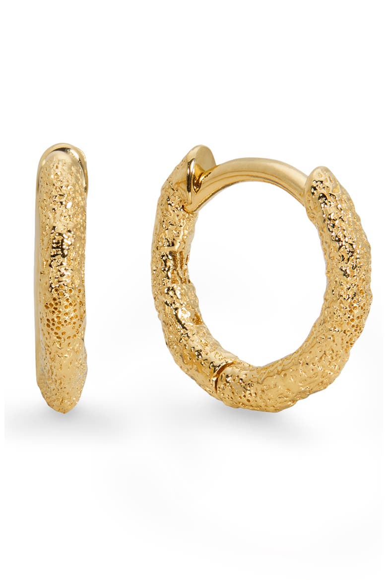 Antica Textured Mini Huggie Hoop Earrings, Main, color, GOLD VERMEIL