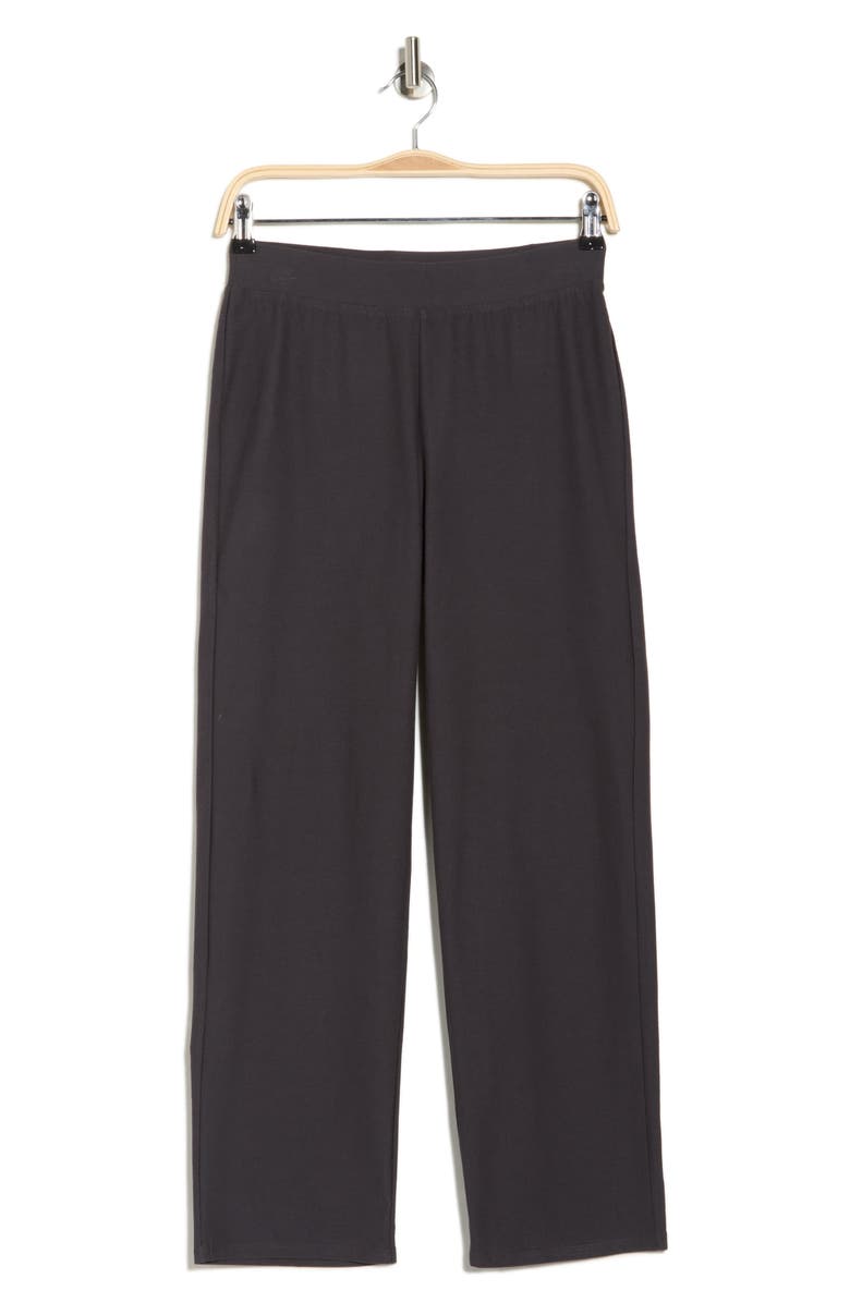 Eileen Fisher Ankle Straight Leg Pants, Main, color, 