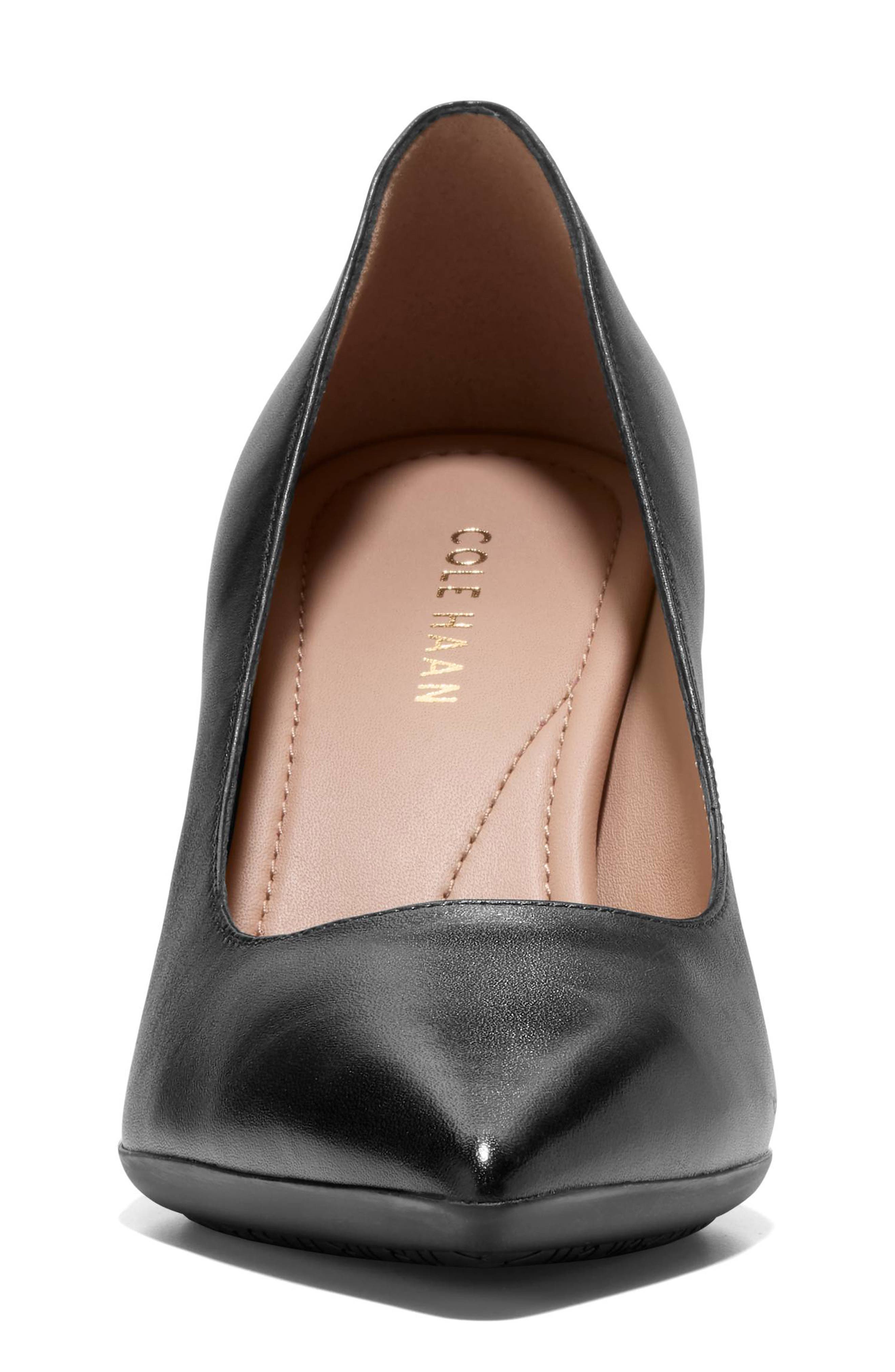 Cole Haan Grand Ambition Angelica Pointed Toe Pump, Alternate, color, Black Leather