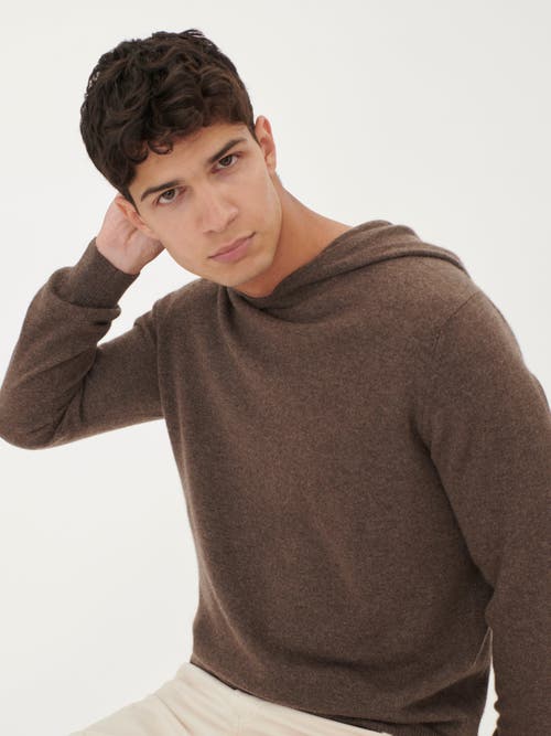 Gobi Mongolian Cashmere Basic Hoodie In Brown