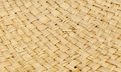 Peter Grimm Delfina Embroidered Flower Straw Hat In Natural