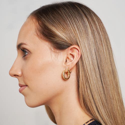 The Lovery Fine Jewelry Croissant Hoop Earrings In Gold