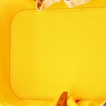 Muse Vanity Case Coated Canvas