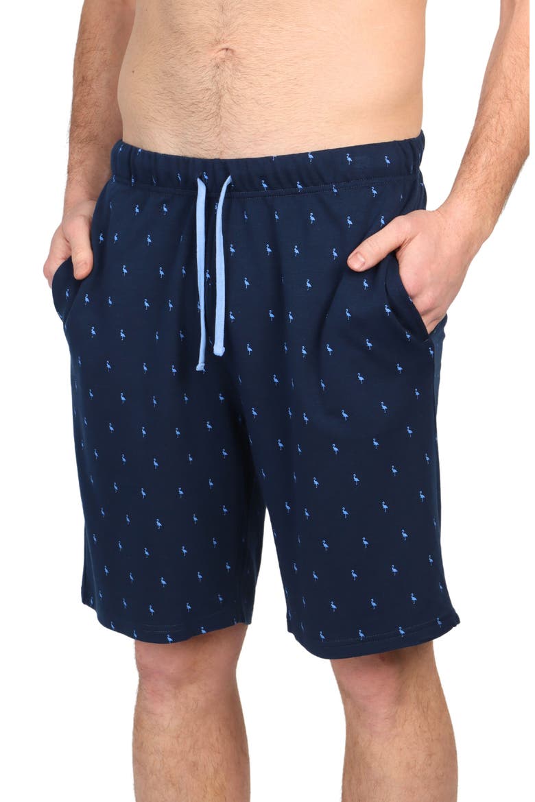 Byrd Print French Terry Shorts, Alternate, color, NAVY