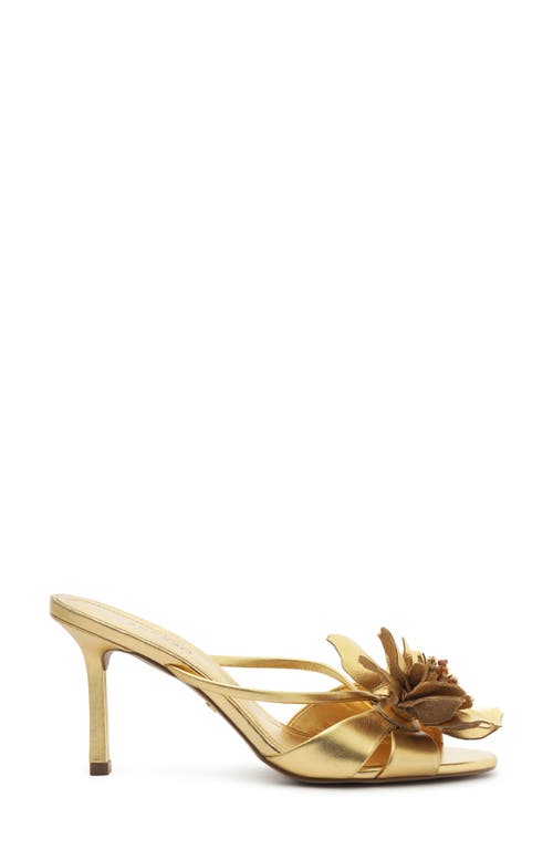Arezzo Daisy Mid Slide Sandal