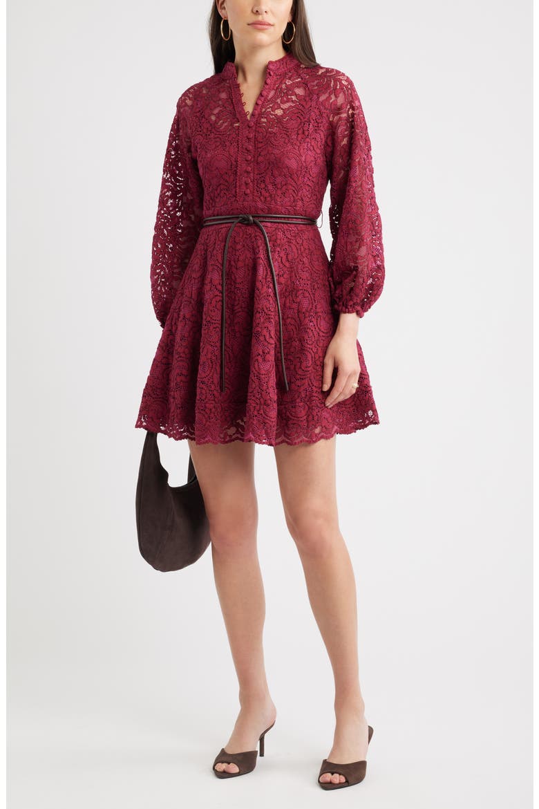 Lace Long Sleeve Minidress, Alternate, color, BURGUNDY BEET