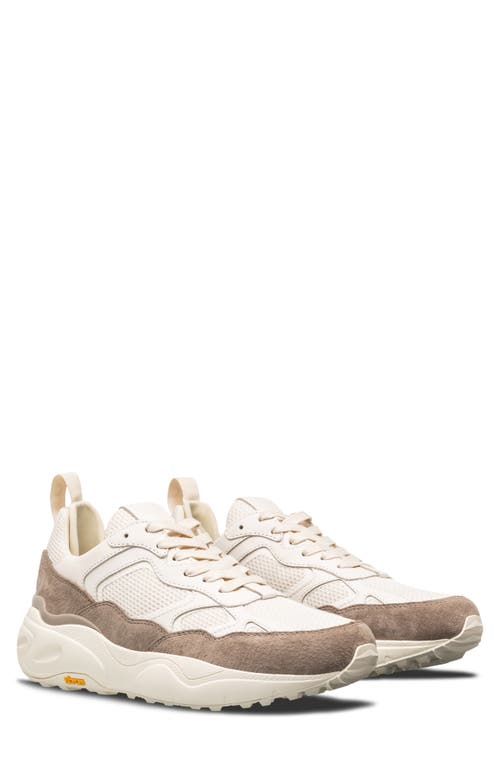 Clae Salazar Sneaker In Offwhite Cashmere