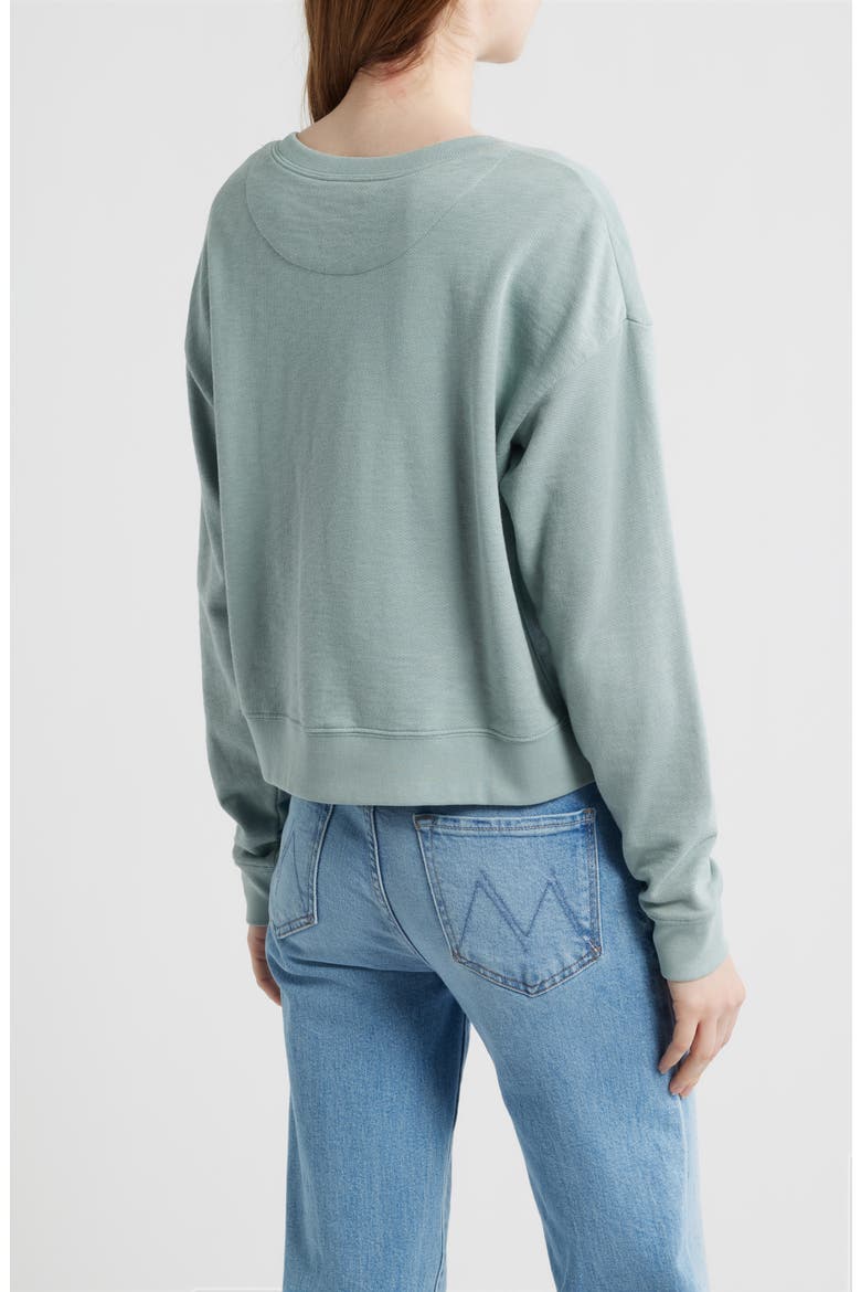 Embroidered Cotton Sweatshirt, Alternate, color, SAGE