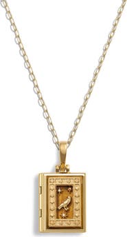 Awe Inspired Book of Raven Locket Necklace