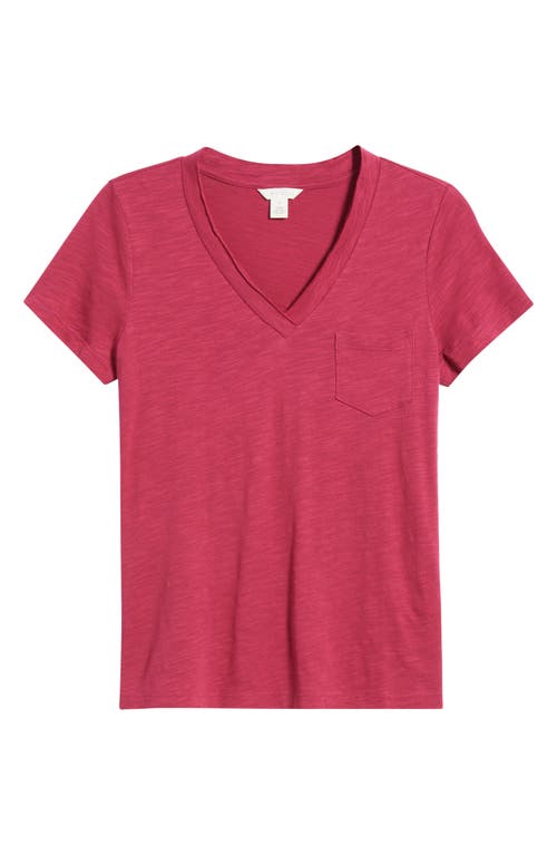Caslonr Caslon(r) Cotton & Modal V-neck T-shirt In Pink