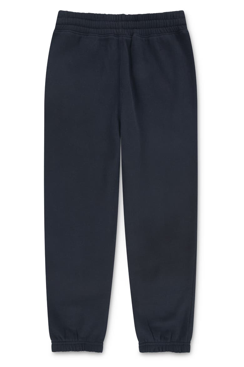 Kids' Essential Fleece Joggers, Alternate, color, ANF ANTHRACITE