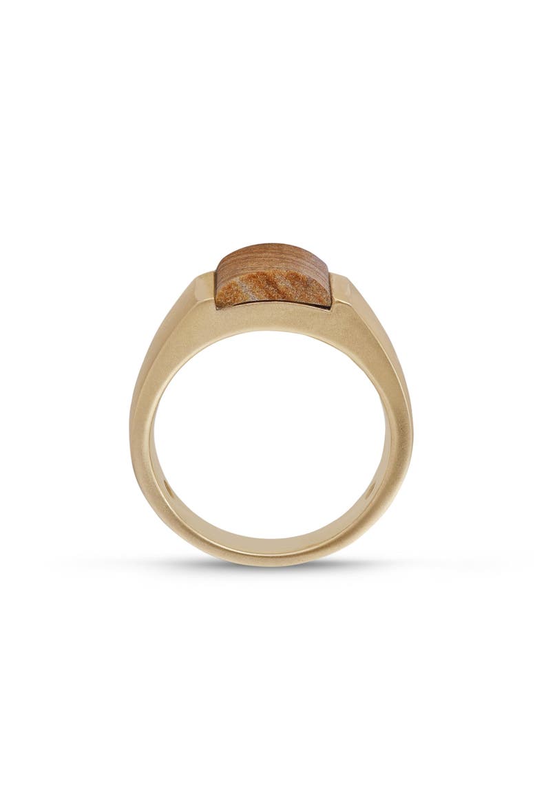 Wood Jasper Sterling Silver Men Signet Ring, Alternate, color, 14KT Gold Vermeil on Sterling