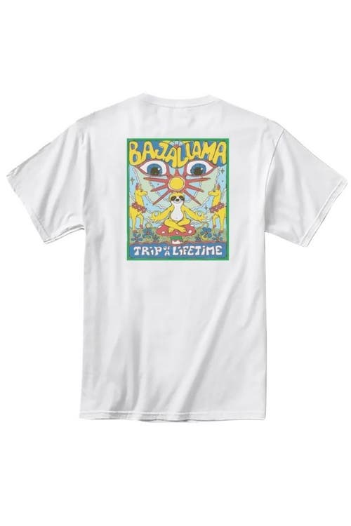 Baja Llama Peace Sloth In White