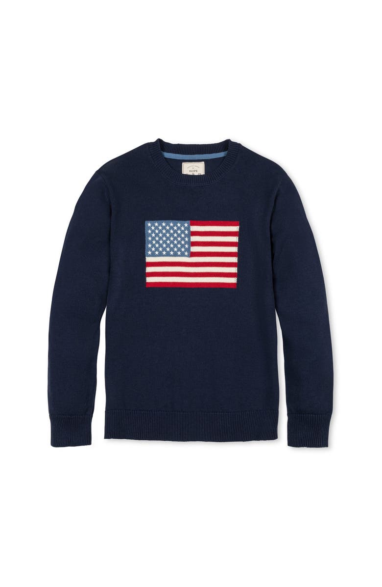 Hope & Henry Men's Organic Crew Neck Flag Sweater, Alternate, color, Navy Flag