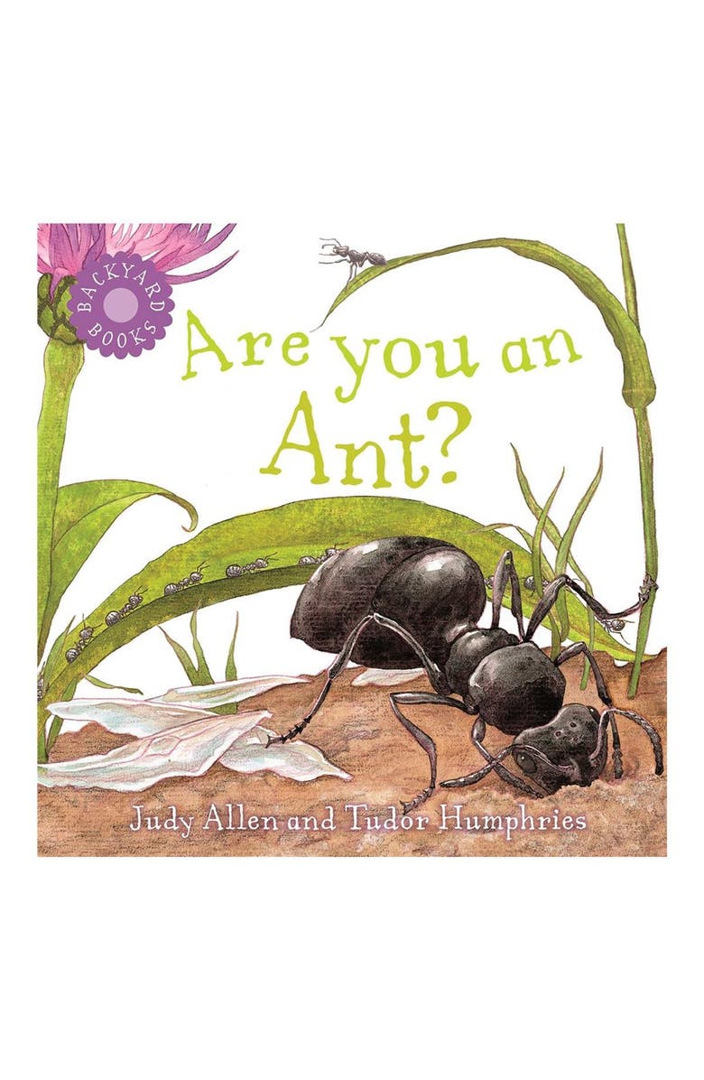 Kaplan Early Learning Company Backyard Books - Set of 8, Alternate, color, Multicolor