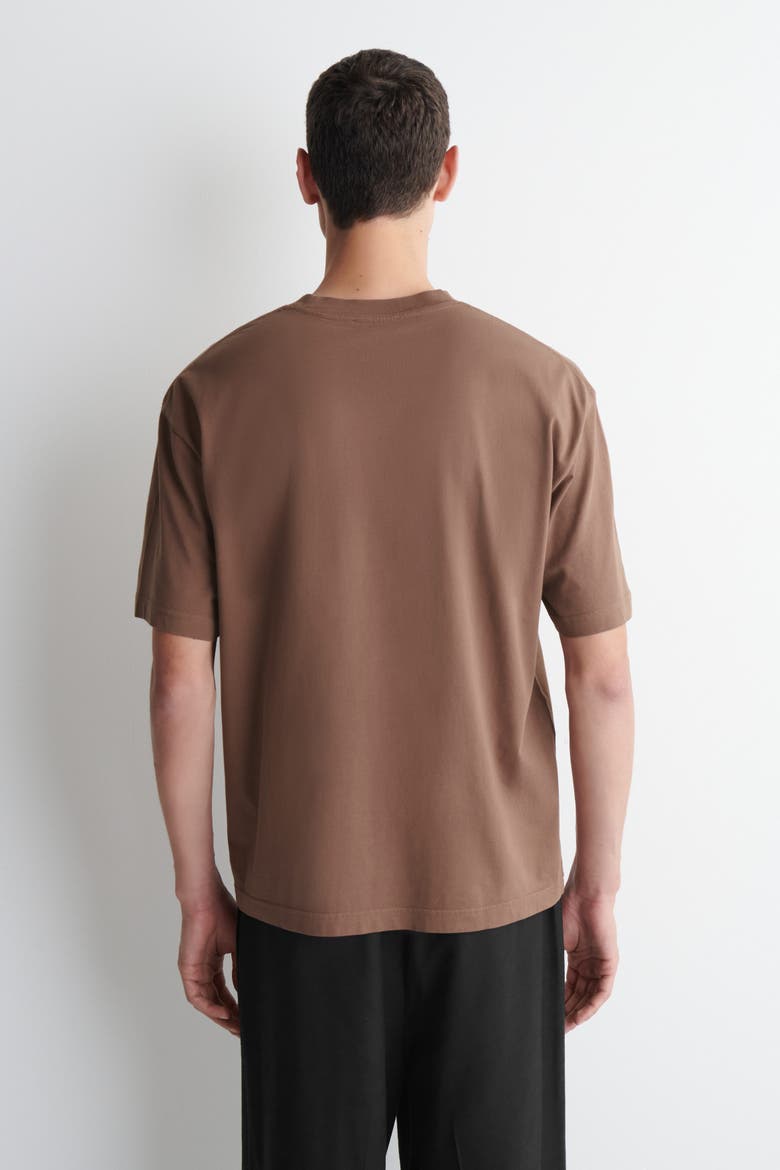 Relaxed Lightweight Cotton T-shirt, Alternate, color, LIGHT BROWN