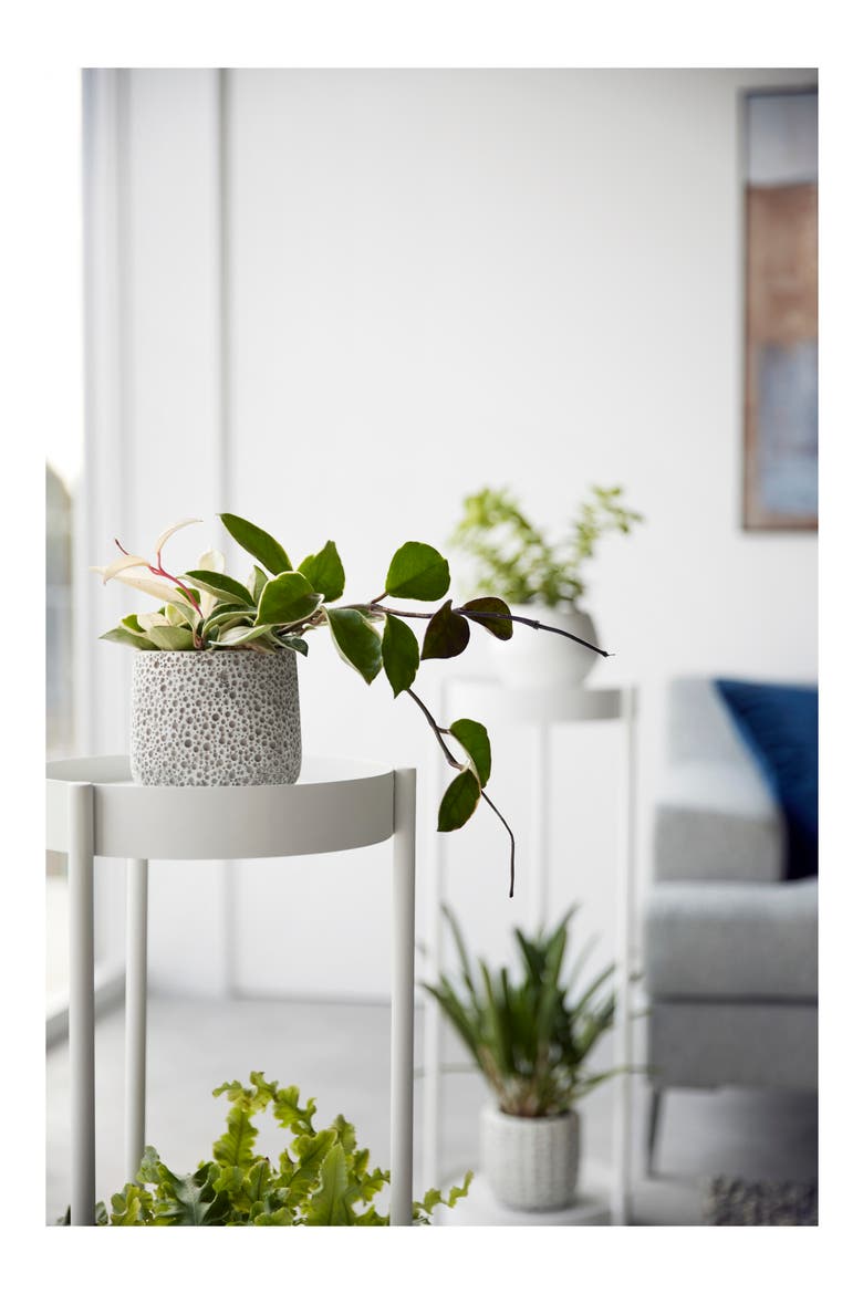 Rolling Two-Tier Plant Stand, Alternate, color, WHITE
