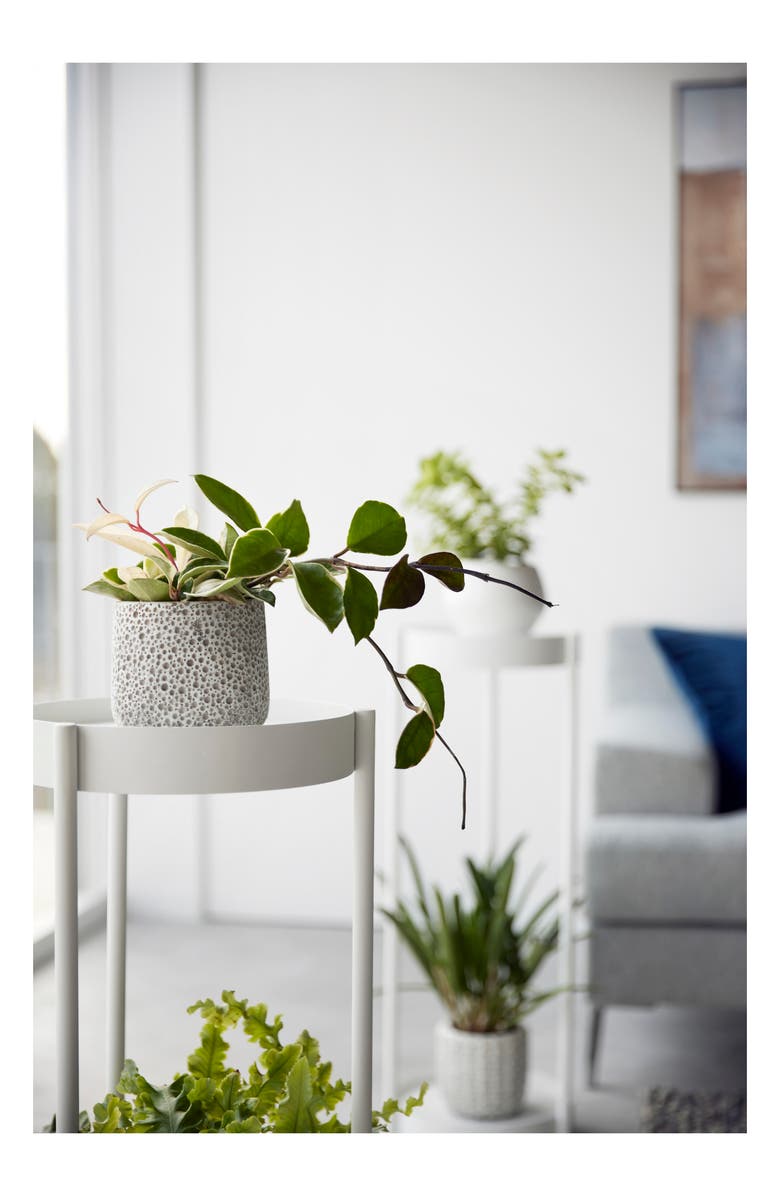 Yamazaki Rolling Two-Tier Plant Stand, Alternate, color, White