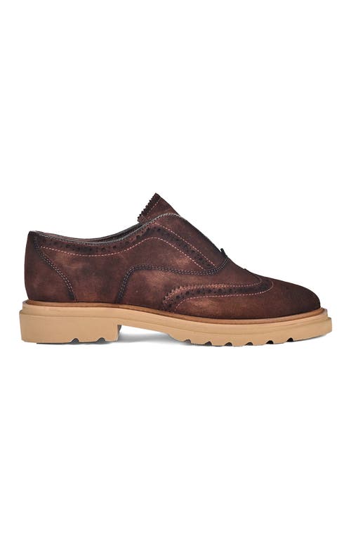Roan Blame Slip-on In Brown