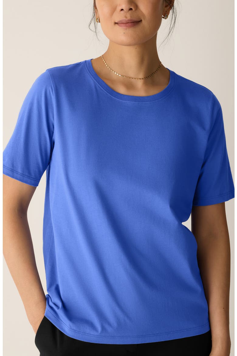 Crewneck Organic Cotton T-Shirt, Alternate, color, BLSTR