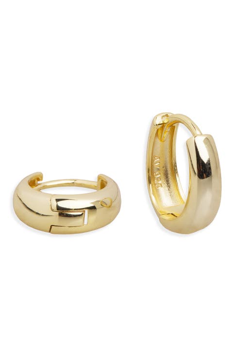 Oval Huggie Hoop Earrings