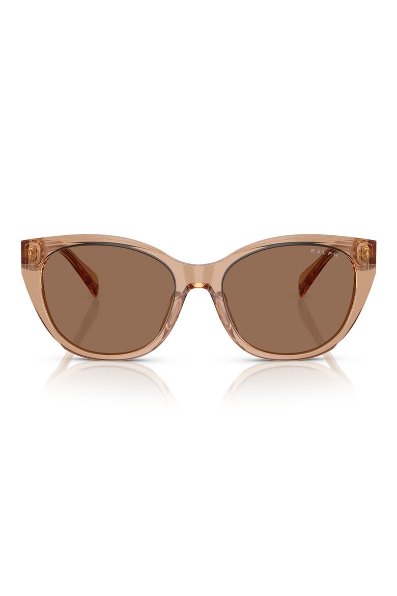 RA5324U 56mm Cat Eye Sunglasses, Main, color, TRANSPARENT BROWN / BROWN