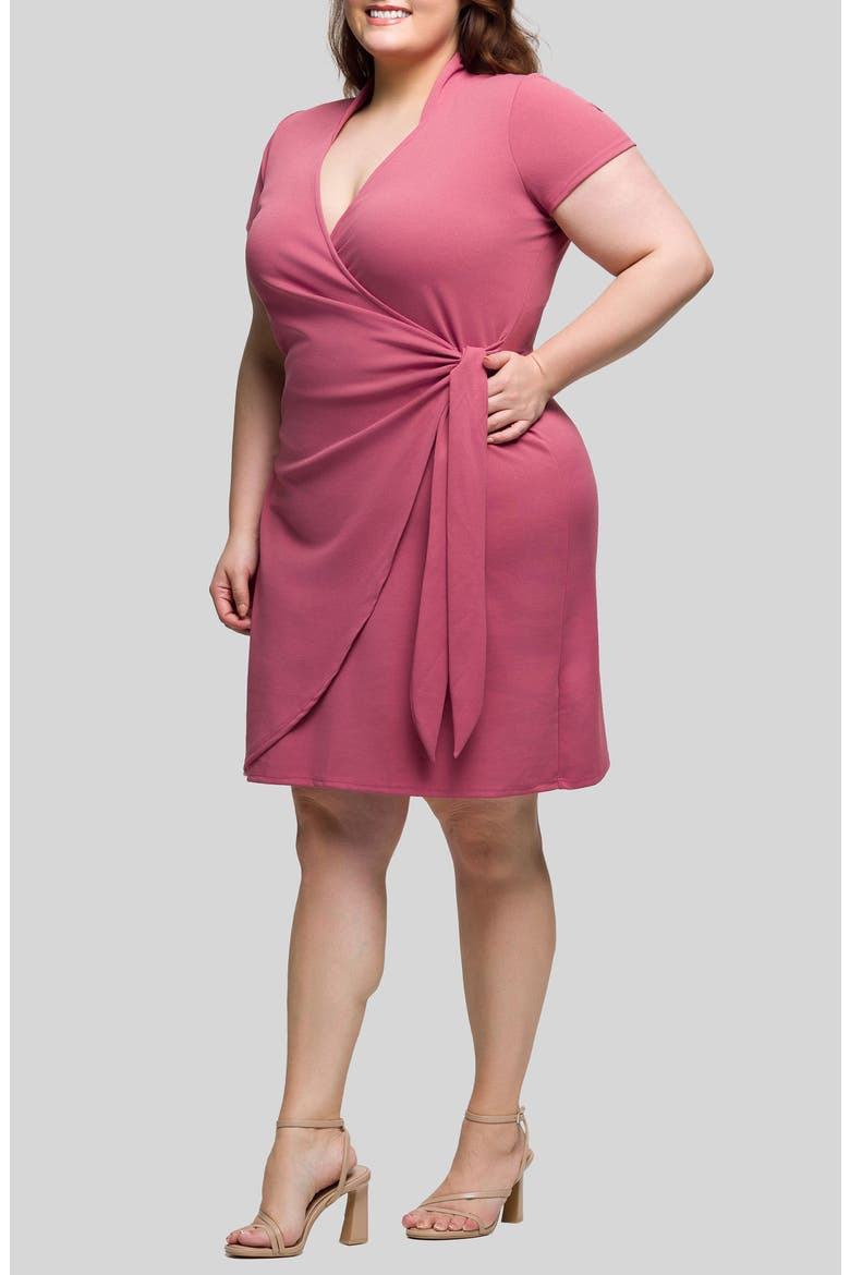Wrap Dress, Main, color, ROSE