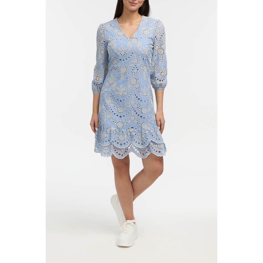 Shop Ellen Tracy Embroidered Eyelet V-neck Minidress