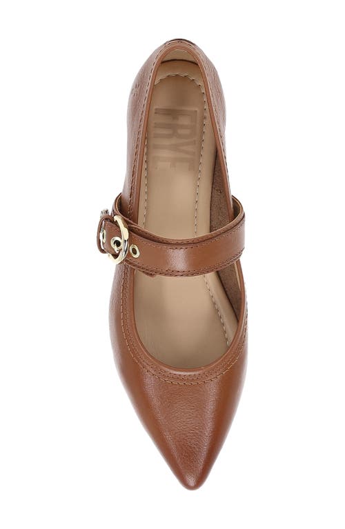 Frye Heather Leather Mary Jane Ballerina Flats In Dark Latte