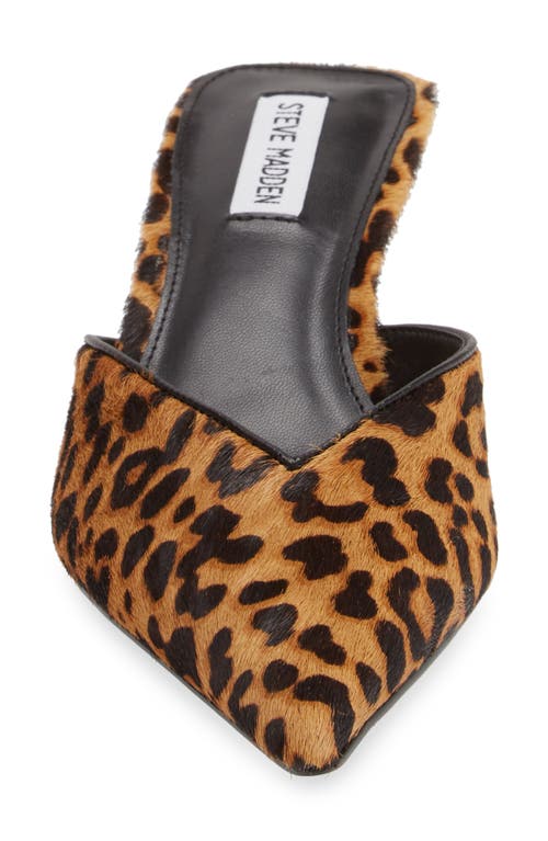 Shop Steve Madden Mod-a Leopard Print Genuine Calf Hair Mule