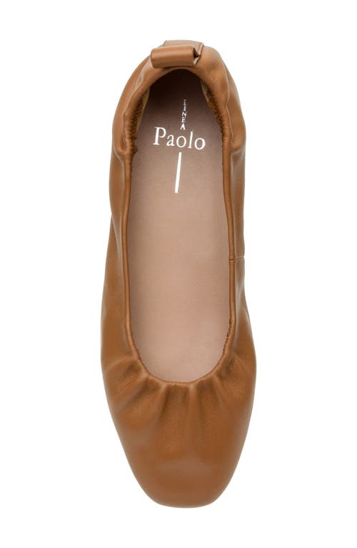 Linea Paolo Newry Ballet Flat In Brown