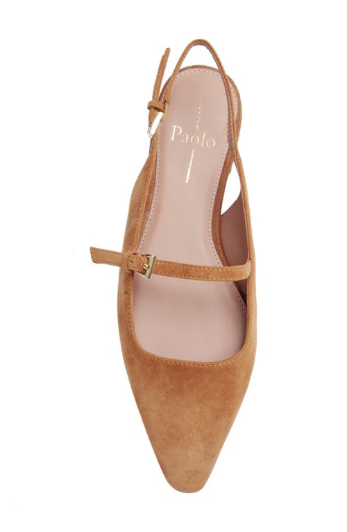 Linea Paolo Celeste Slingback Pointed Toe Flat In Brown