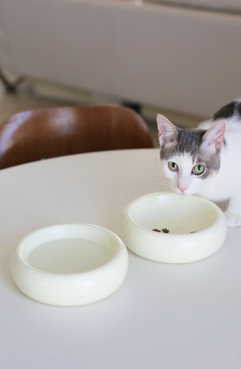 Catenary Halo Cat Bowl, Alternate, color, White