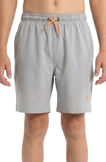 Spyder Kids' Volley Swim Shorts In Gray